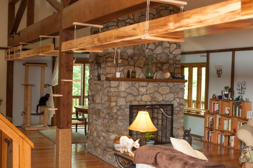 I ‘Catified’ My Friends’ House For Their 7 Cats I ‘Catified’ My Friends’ House For Their 7 Cats