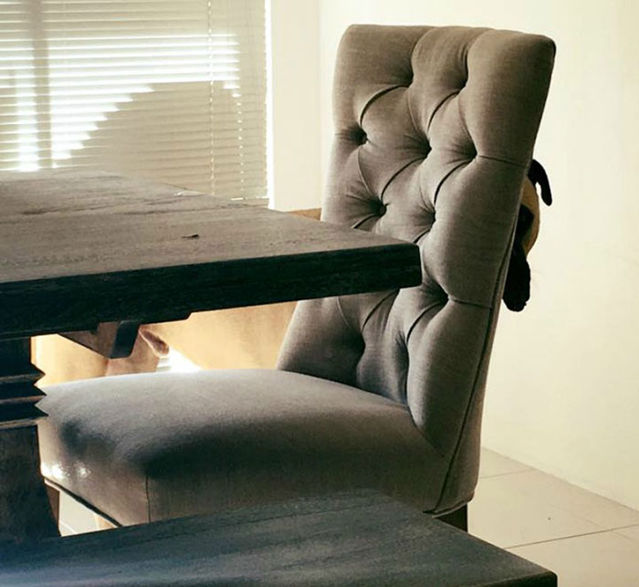 Overly-Attached Dog Stalks His Owner ALL THE TIME Overly-Attached Dog Stalks His Owner ALL THE TIME