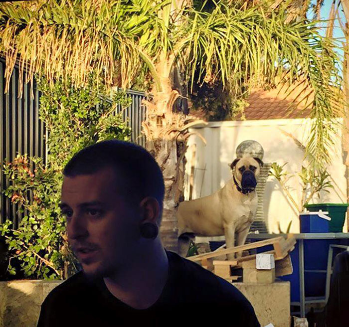 Overly-Attached Dog Stalks His Owner ALL THE TIME Overly-Attached Dog Stalks His Owner ALL THE TIME