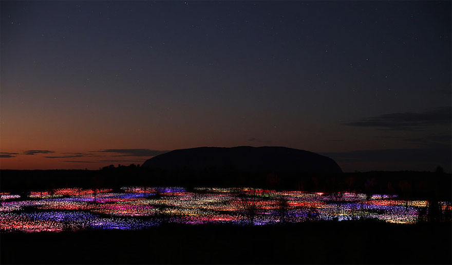 Field Of Light: Artist Uses 50,000 Lights To Turn Desert Into Surreal Fairytale