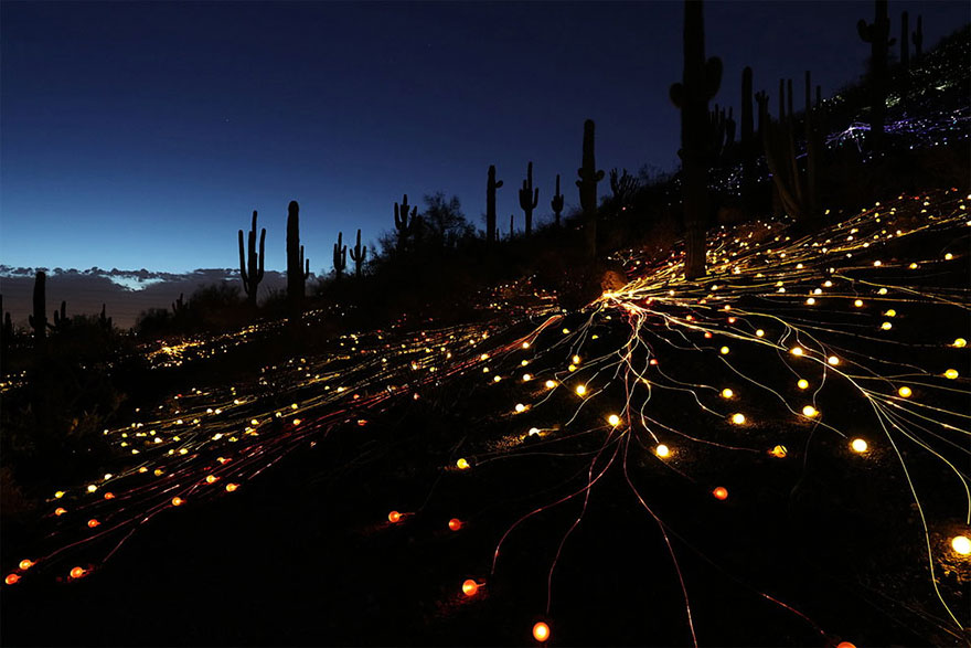 Field Of Light: Artist Uses 50,000 Lights To Turn Desert Into Surreal Fairytale
