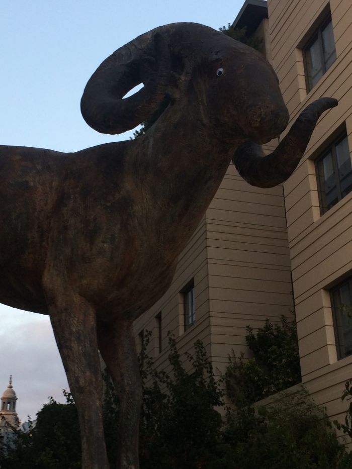 134 Random Acts Of Genius Vandalism 134 Random Acts Of Genius Vandalism