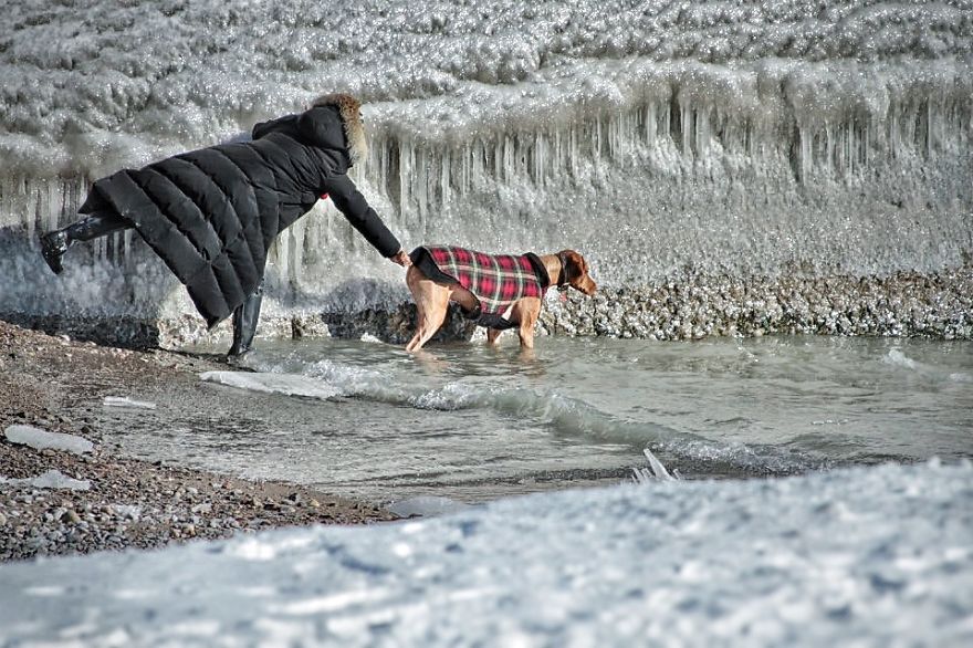 I Documented The Struggles Of A Little Mouse In Cold Water