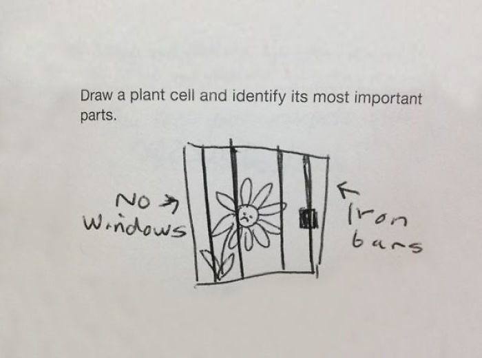 79 People Who Take Instructions Too Literally 79 People Who Take Instructions Too Literally