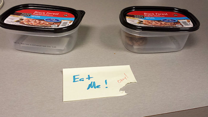 79 People Who Take Instructions Too Literally 79 People Who Take Instructions Too Literally