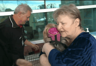 Hospital Lets Pets Visit Their Sick Humans To Make Them Feel Better