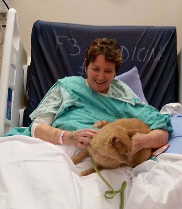 Hospital Lets Pets Visit Their Sick Humans To Make Them Feel Better