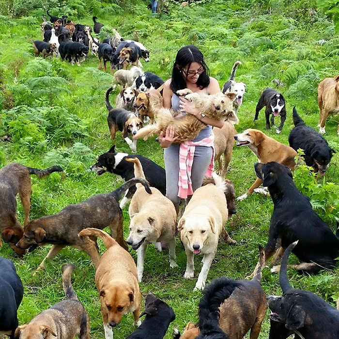 Land of the Strays in Costa Rica Is Heaven On Earth For Stray Dogs