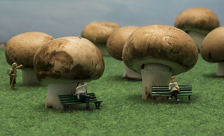 I Capture Everyday Lives Of Miniature People