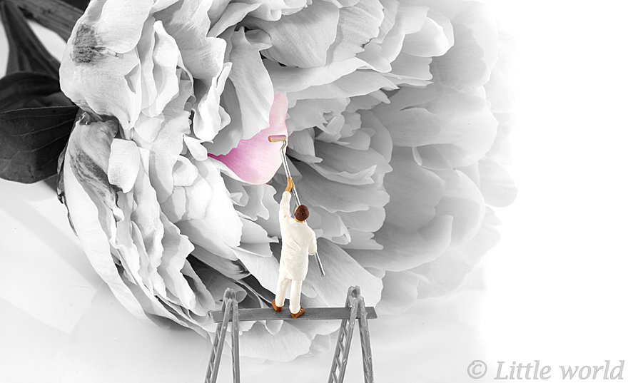 I Capture Everyday Lives Of Miniature People