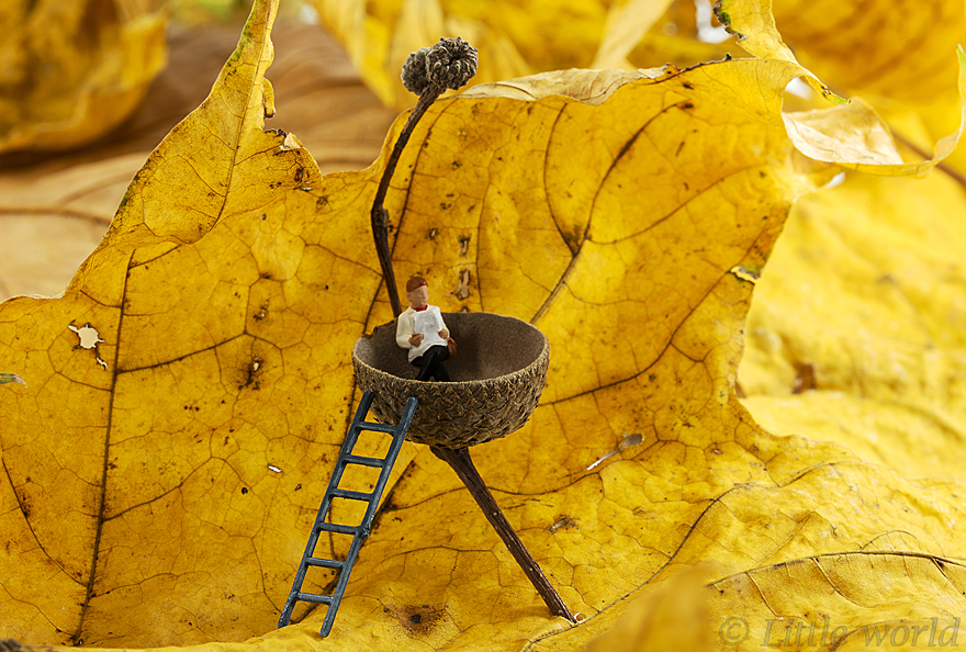 I Capture Everyday Lives Of Miniature People