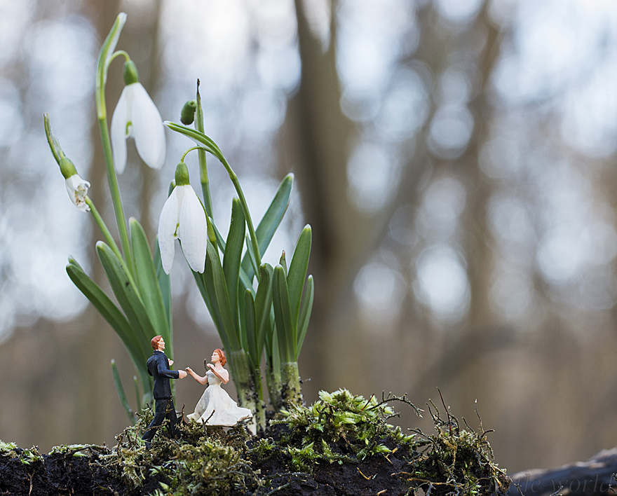 I Capture Everyday Lives Of Miniature People