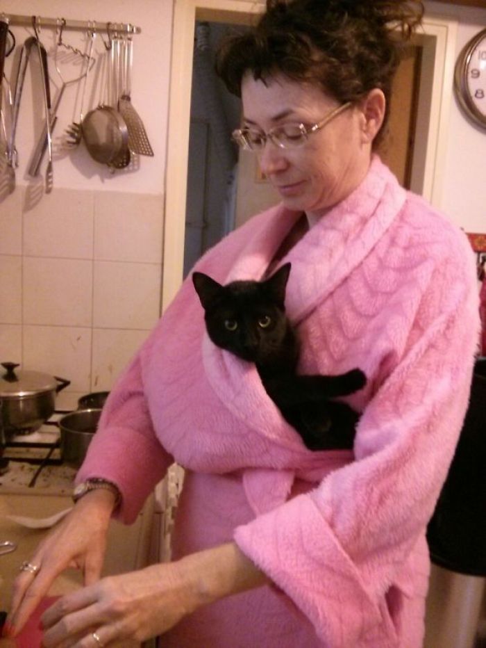 204 Cats Who Love Warmth More Than Anything 204 Cats Who Love Warmth More Than Anything