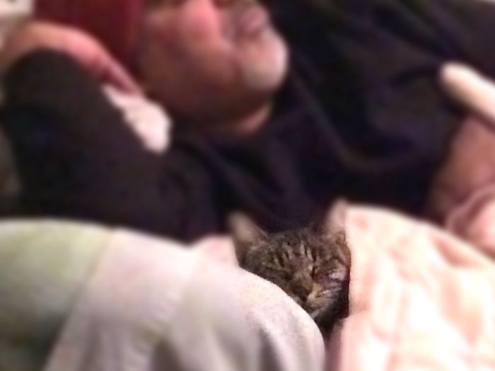 204 Cats Who Love Warmth More Than Anything 204 Cats Who Love Warmth More Than Anything