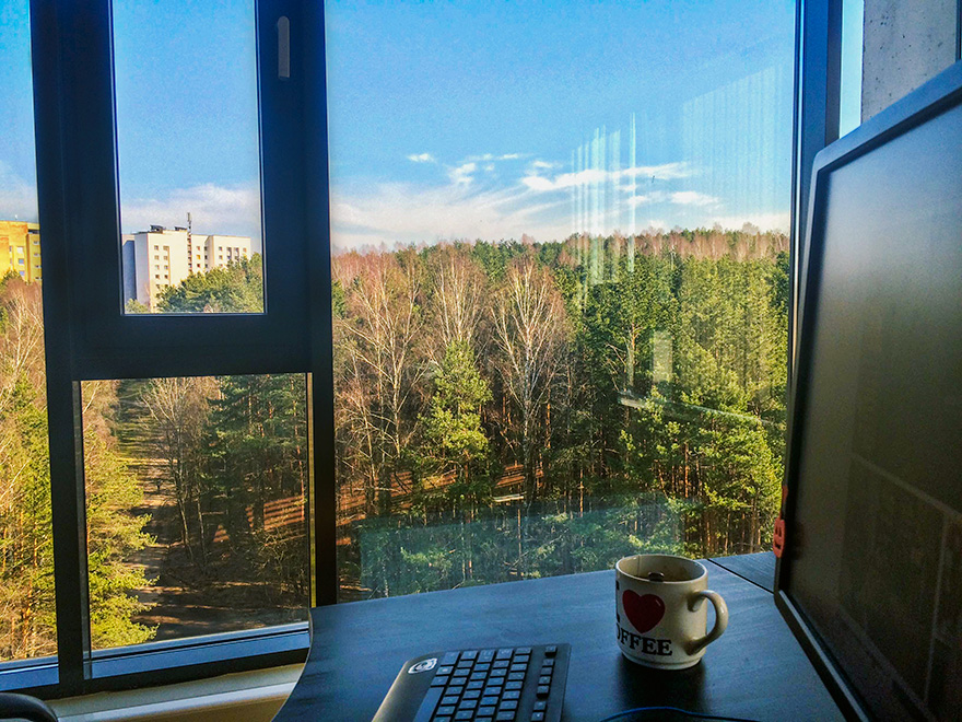 Hey Pandas, Share The View From Your Office Hey Pandas, Share The View From Your Office