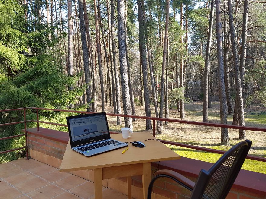 Hey Pandas, Share The View From Your Office Hey Pandas, Share The View From Your Office