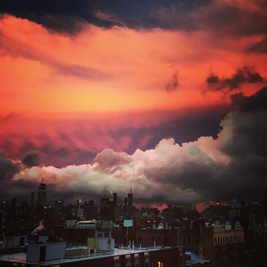 Hey Pandas, Share The View From Your Office Hey Pandas, Share The View From Your Office