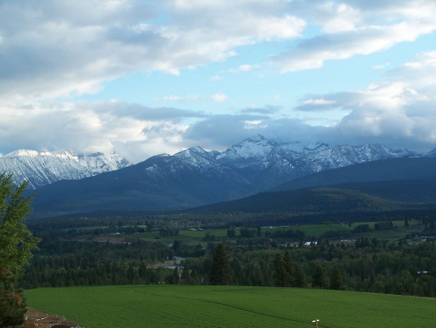 Hey Pandas, Share The View From Your Office Hey Pandas, Share The View From Your Office