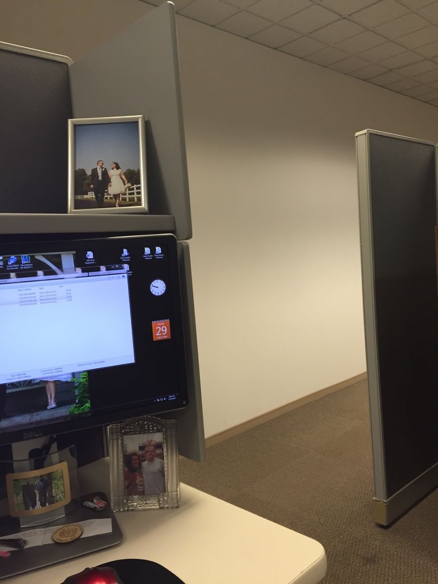 Hey Pandas, Share The View From Your Office Hey Pandas, Share The View From Your Office