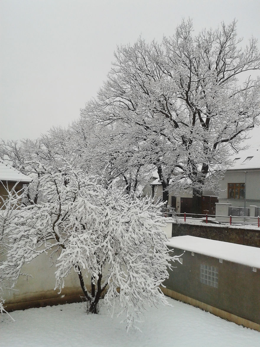 Hey Pandas, Share The View From Your Office Hey Pandas, Share The View From Your Office