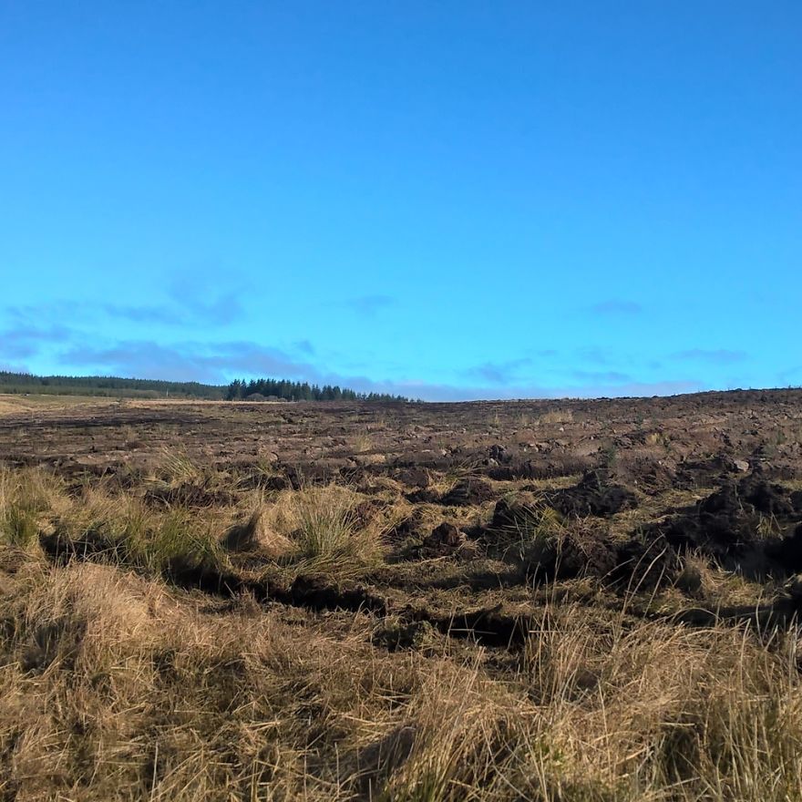 Hey Pandas, Share The View From Your Office Hey Pandas, Share The View From Your Office