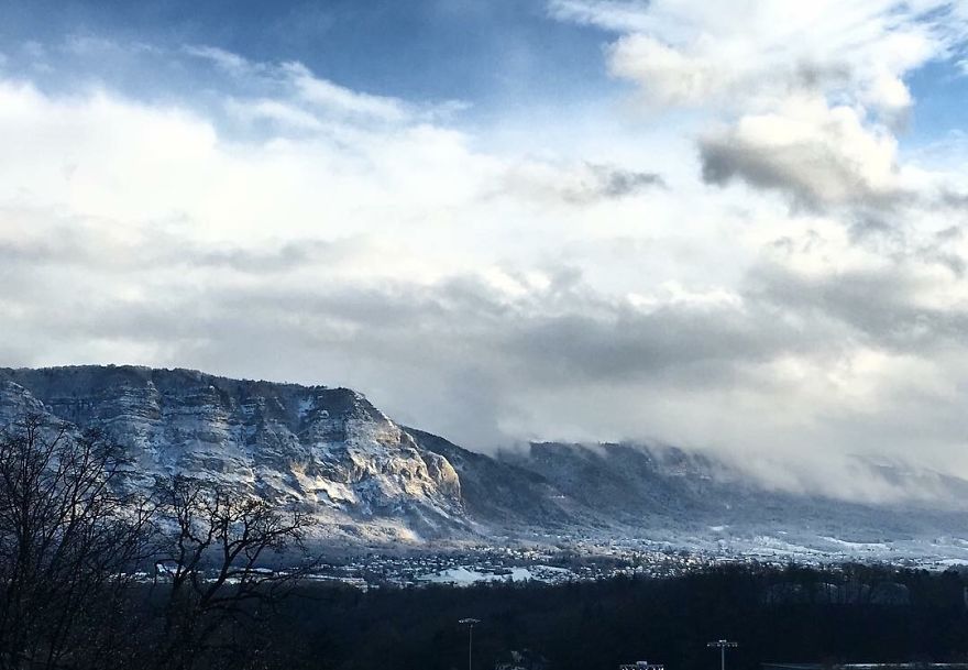 Hey Pandas, Share The View From Your Office Hey Pandas, Share The View From Your Office