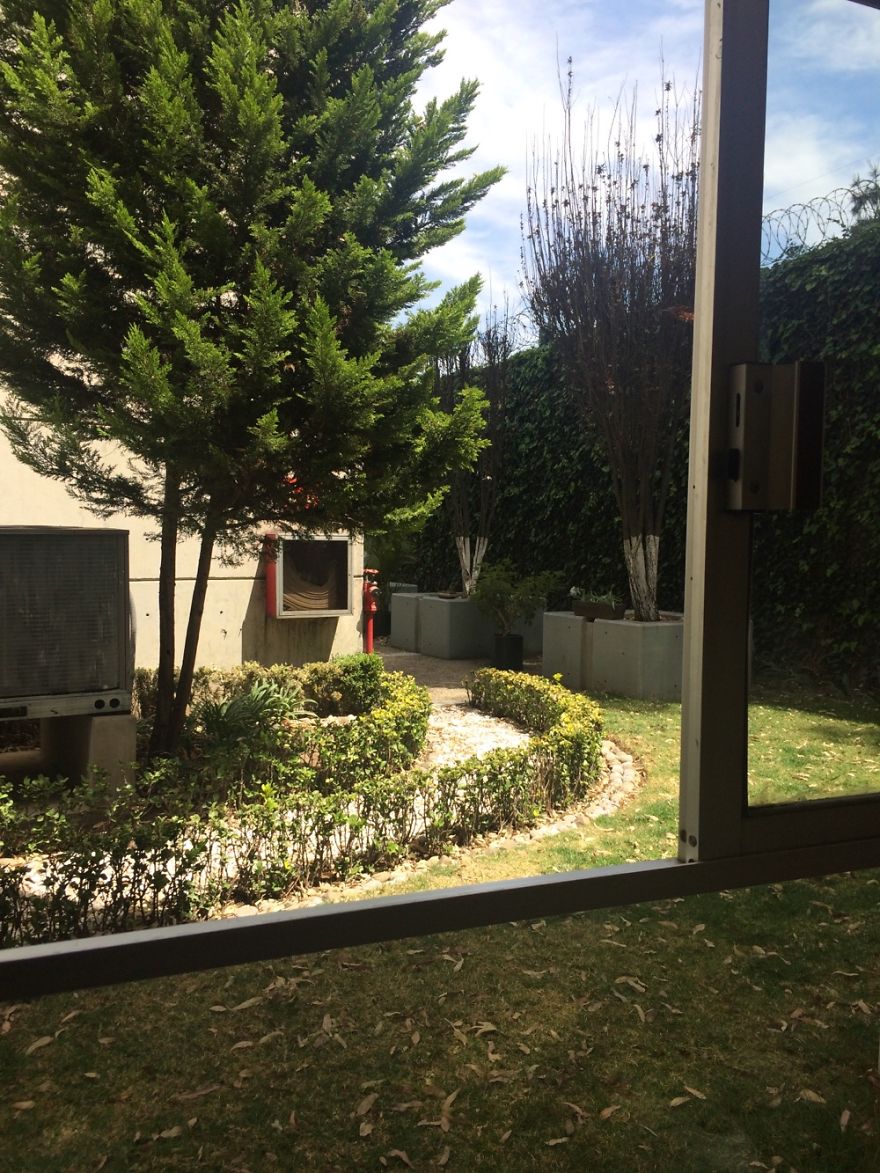 Hey Pandas, Share The View From Your Office Hey Pandas, Share The View From Your Office