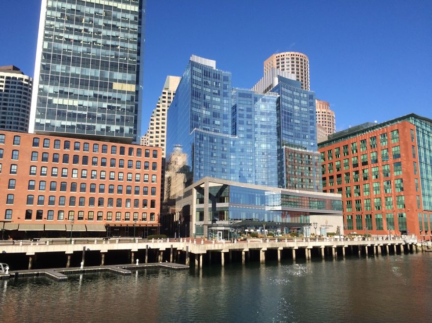 Hey Pandas, Share The View From Your Office Hey Pandas, Share The View From Your Office