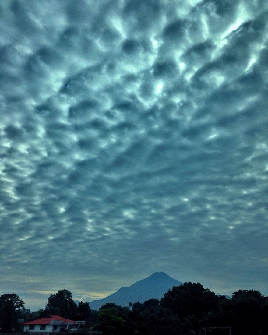 Hey Pandas, Share The View From Your Office Hey Pandas, Share The View From Your Office