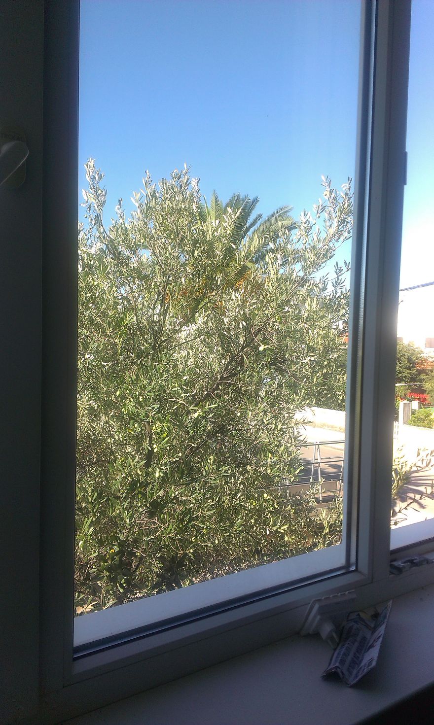 Hey Pandas, Share The View From Your Office Hey Pandas, Share The View From Your Office