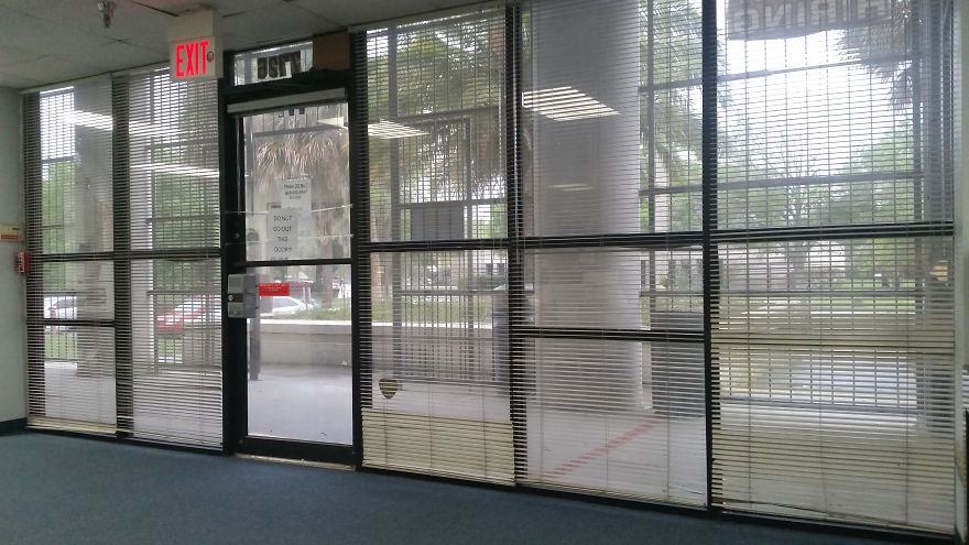 Hey Pandas, Share The View From Your Office Hey Pandas, Share The View From Your Office