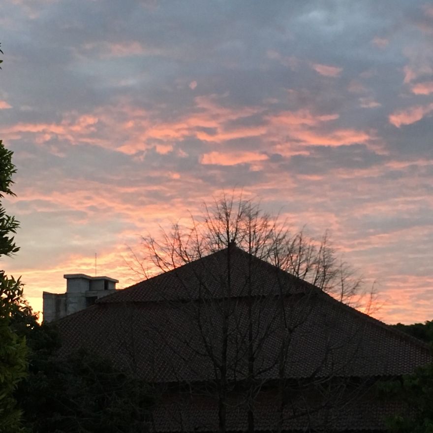 Hey Pandas, Share The View From Your Office Hey Pandas, Share The View From Your Office