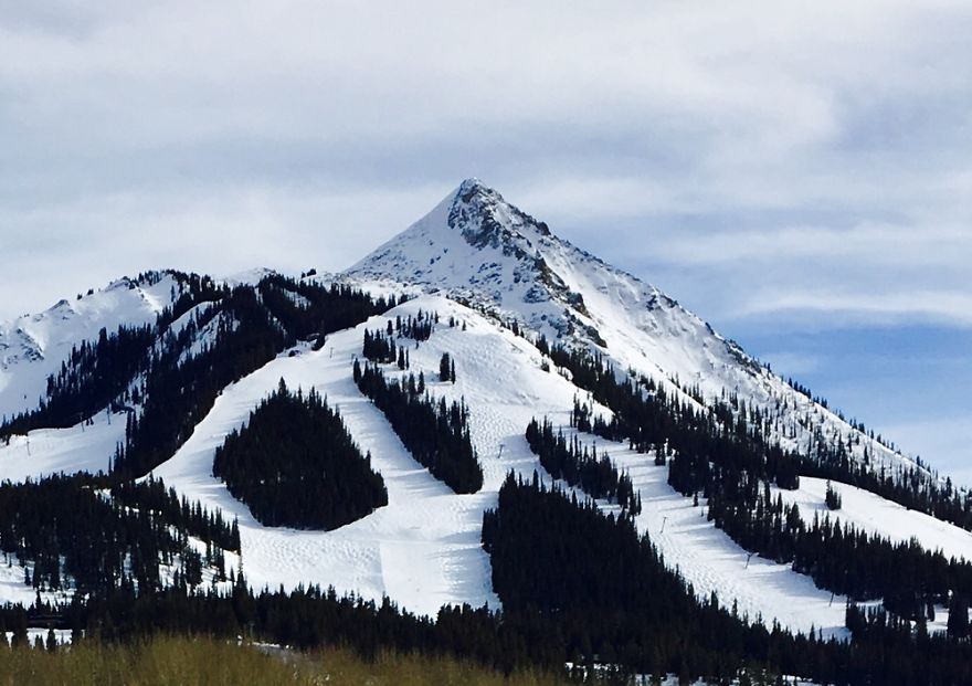 Hey Pandas, Share The View From Your Office Hey Pandas, Share The View From Your Office