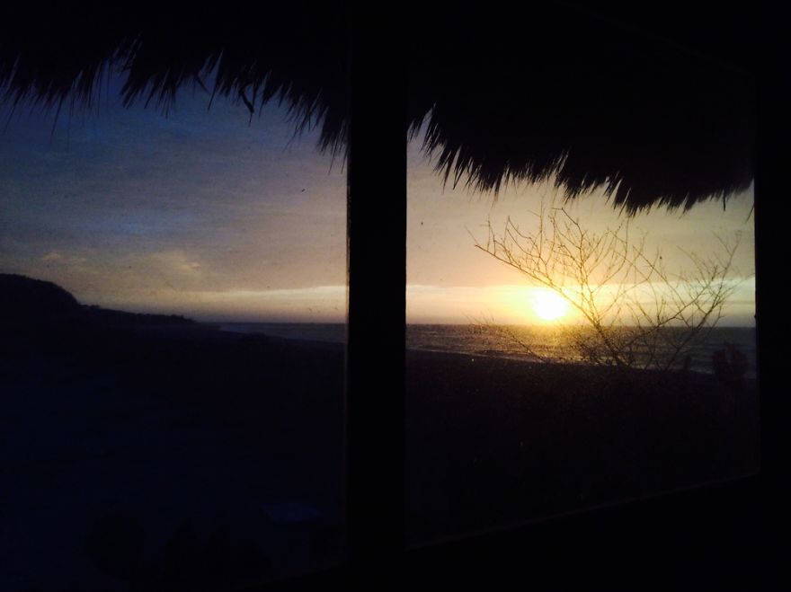 Hey Pandas, Share The View From Your Office Hey Pandas, Share The View From Your Office