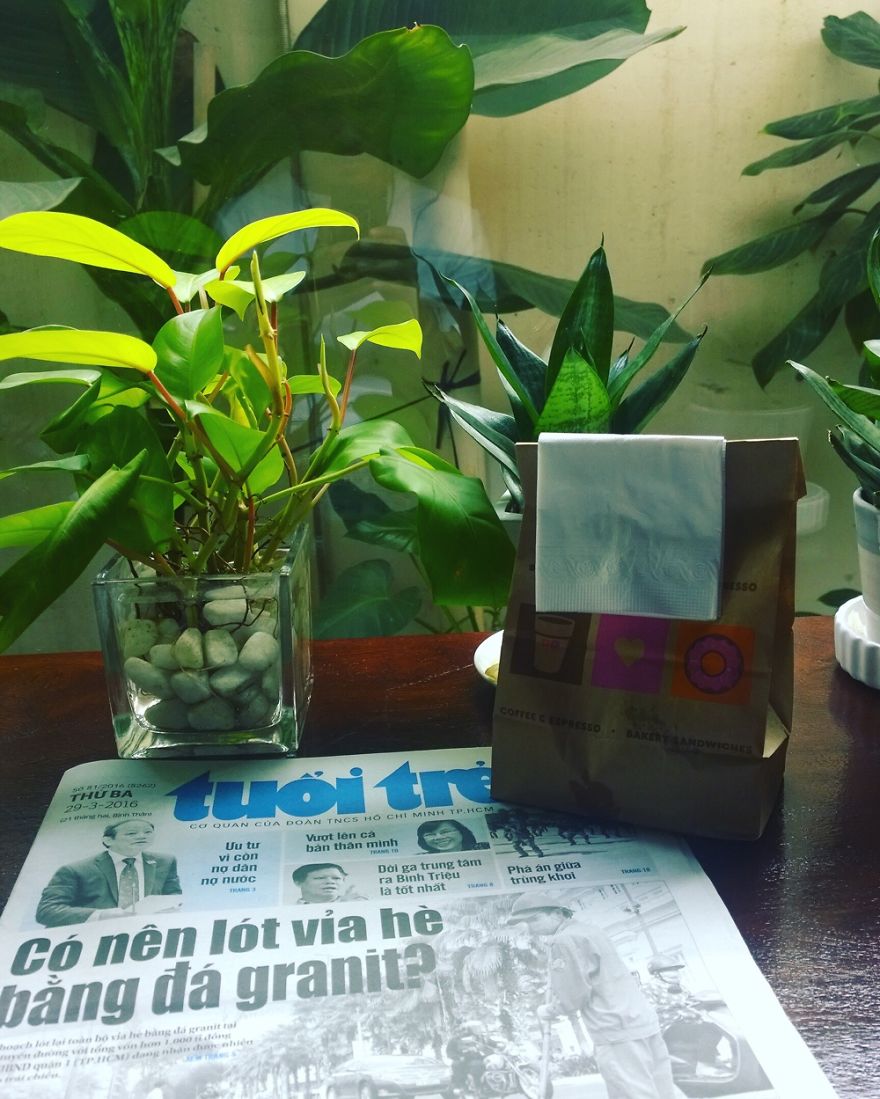 Hey Pandas, Share The View From Your Office Hey Pandas, Share The View From Your Office