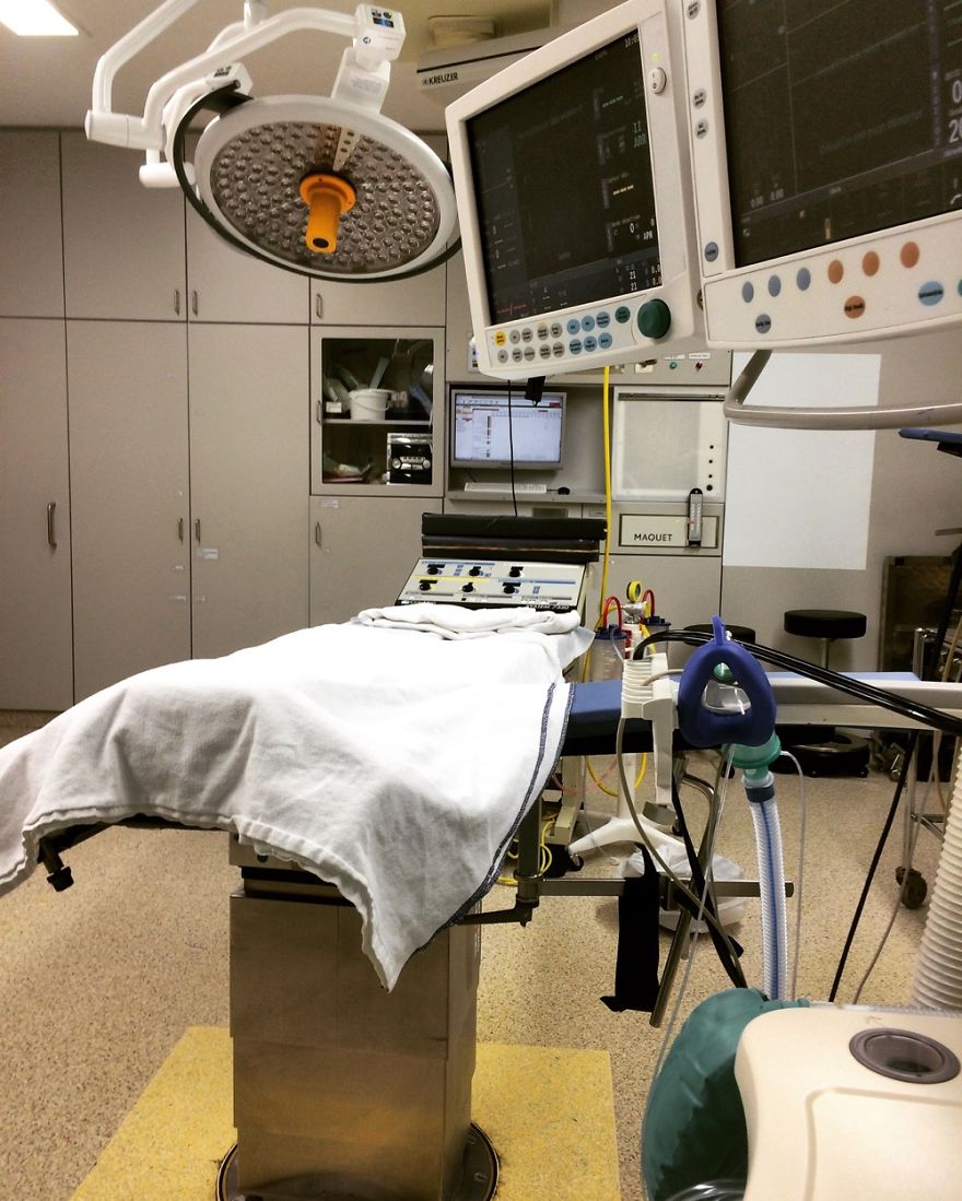 Hey Pandas, Share The View From Your Office Hey Pandas, Share The View From Your Office