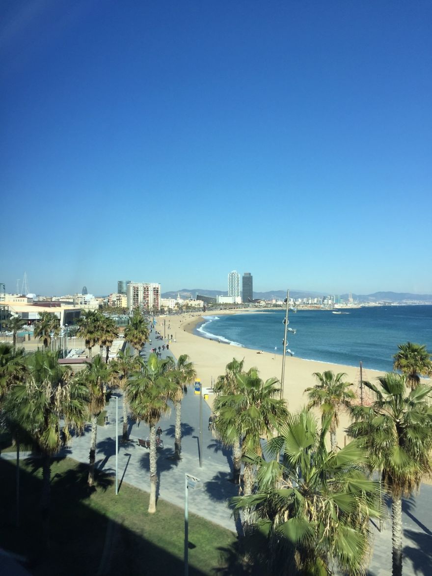 Hey Pandas, Share The View From Your Office Hey Pandas, Share The View From Your Office