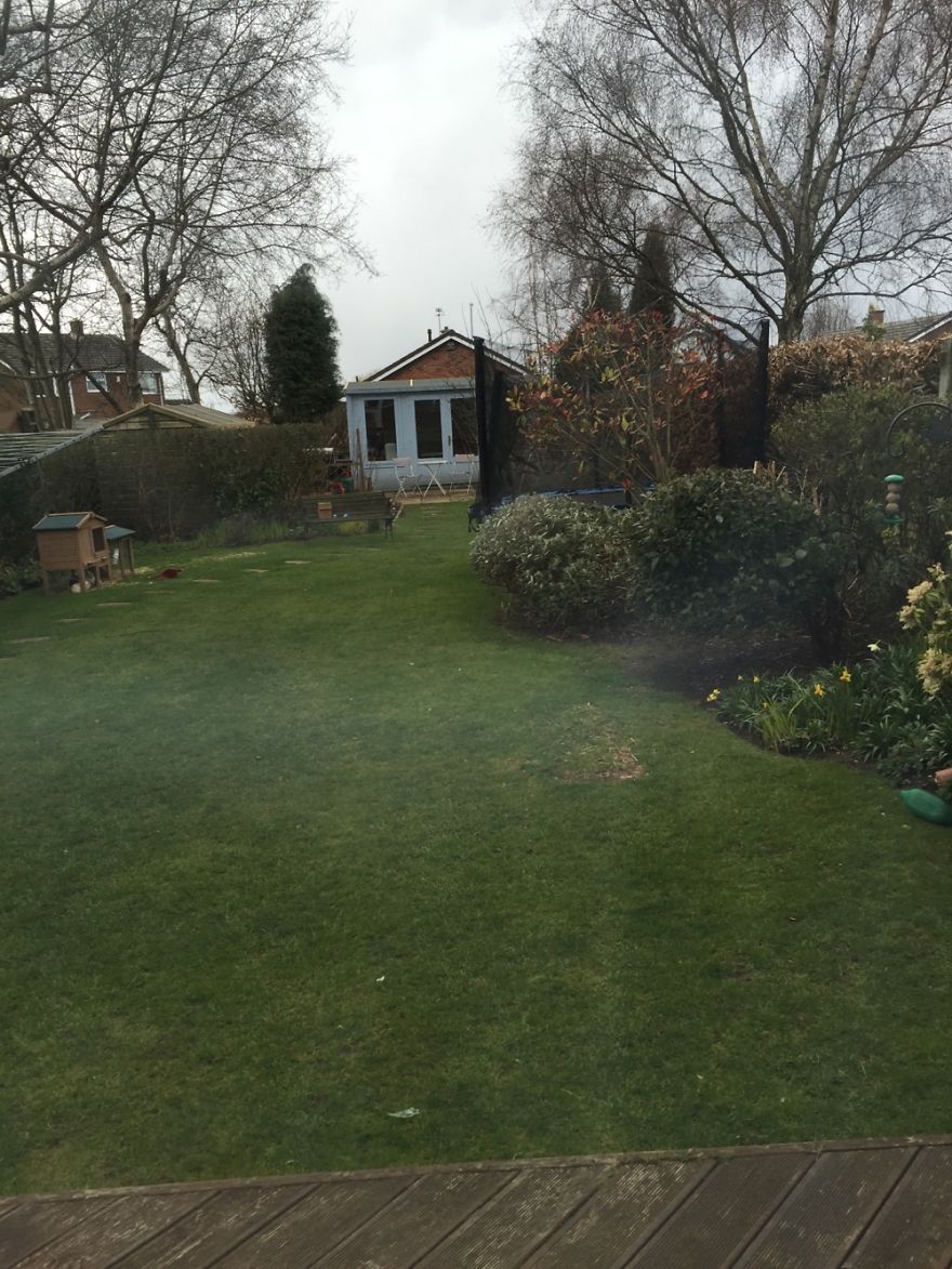 Hey Pandas, Share The View From Your Office Hey Pandas, Share The View From Your Office