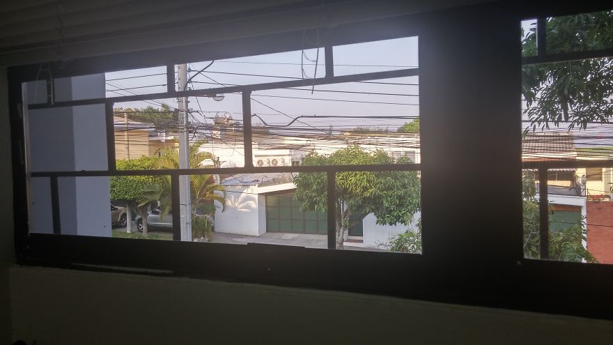 Hey Pandas, Share The View From Your Office Hey Pandas, Share The View From Your Office