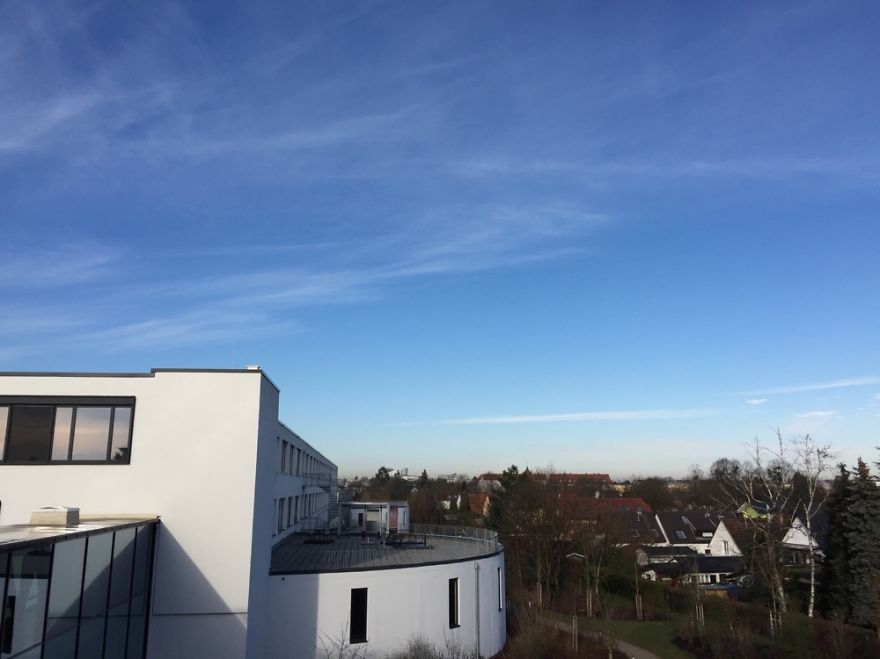 Hey Pandas, Share The View From Your Office Hey Pandas, Share The View From Your Office