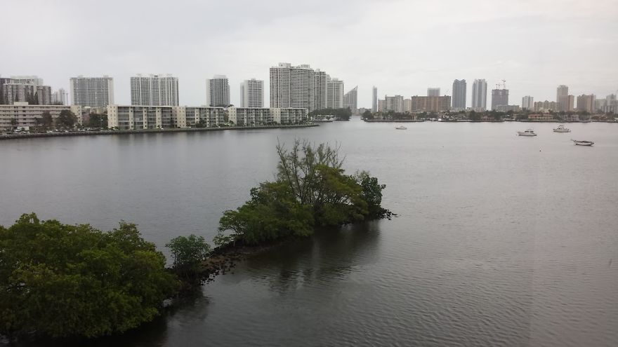 Hey Pandas, Share The View From Your Office Hey Pandas, Share The View From Your Office