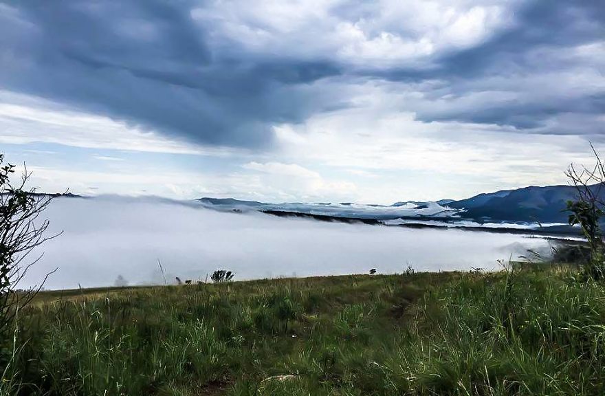 Hey Pandas, Share The View From Your Office Hey Pandas, Share The View From Your Office