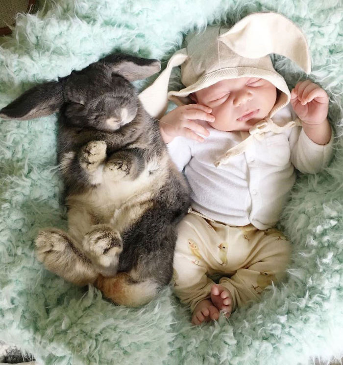 We Just Adopted Our Son 2 Weeks Ago, And I Couldn&#8217;t Resist Photographing Him With Our Bunny