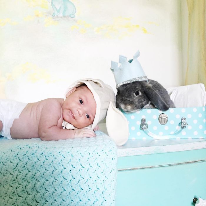We Just Adopted Our Son 2 Weeks Ago, And I Couldn&#8217;t Resist Photographing Him With Our Bunny