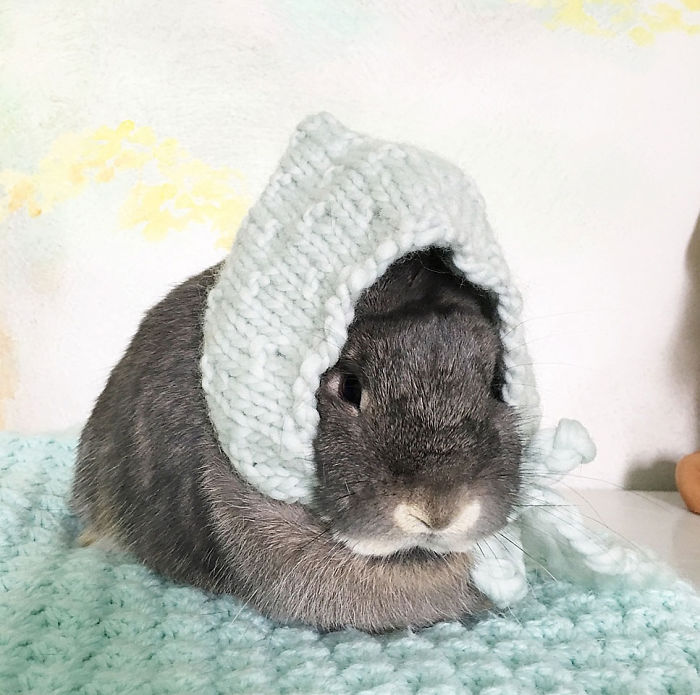 We Just Adopted Our Son 2 Weeks Ago, And I Couldn&#8217;t Resist Photographing Him With Our Bunny