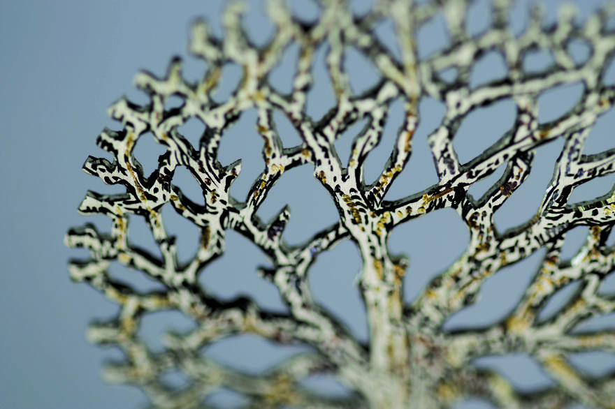 I Hand-Carve Silver Bookmarks That Tell Precious Stories I Hand-Carve Silver Bookmarks That Tell Precious Stories