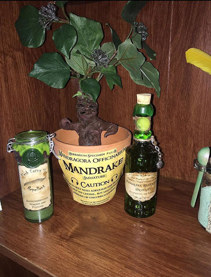 Parents Create &#8216;Harry Potter&#8217; Nursery For Their Muggle-Born Little Wizard