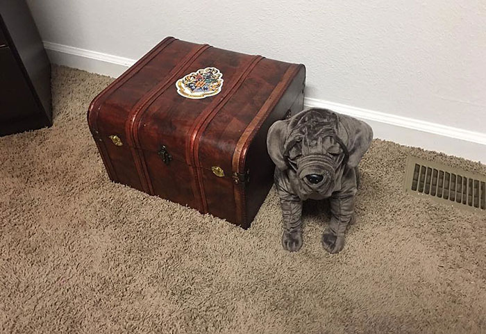 Parents Create &#8216;Harry Potter&#8217; Nursery For Their Muggle-Born Little Wizard