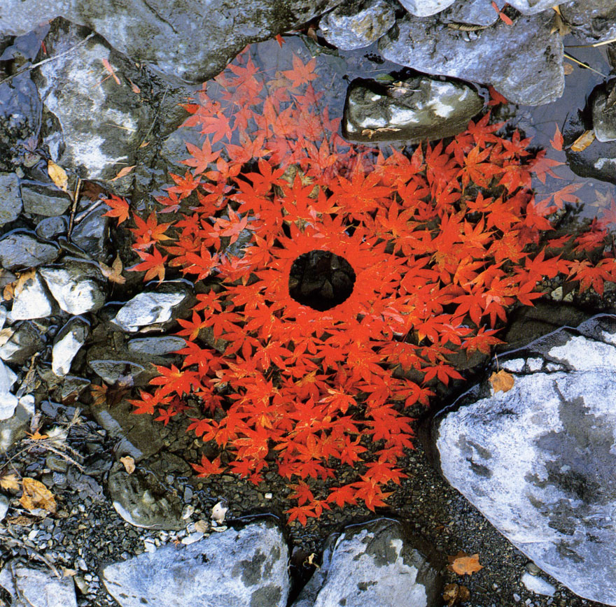 Magical Land Art By Andy Goldsworthy Magical Land Art By Andy Goldsworthy