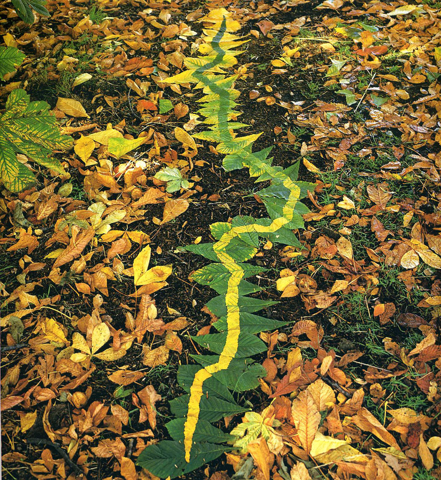 Magical Land Art By Andy Goldsworthy Magical Land Art By Andy Goldsworthy